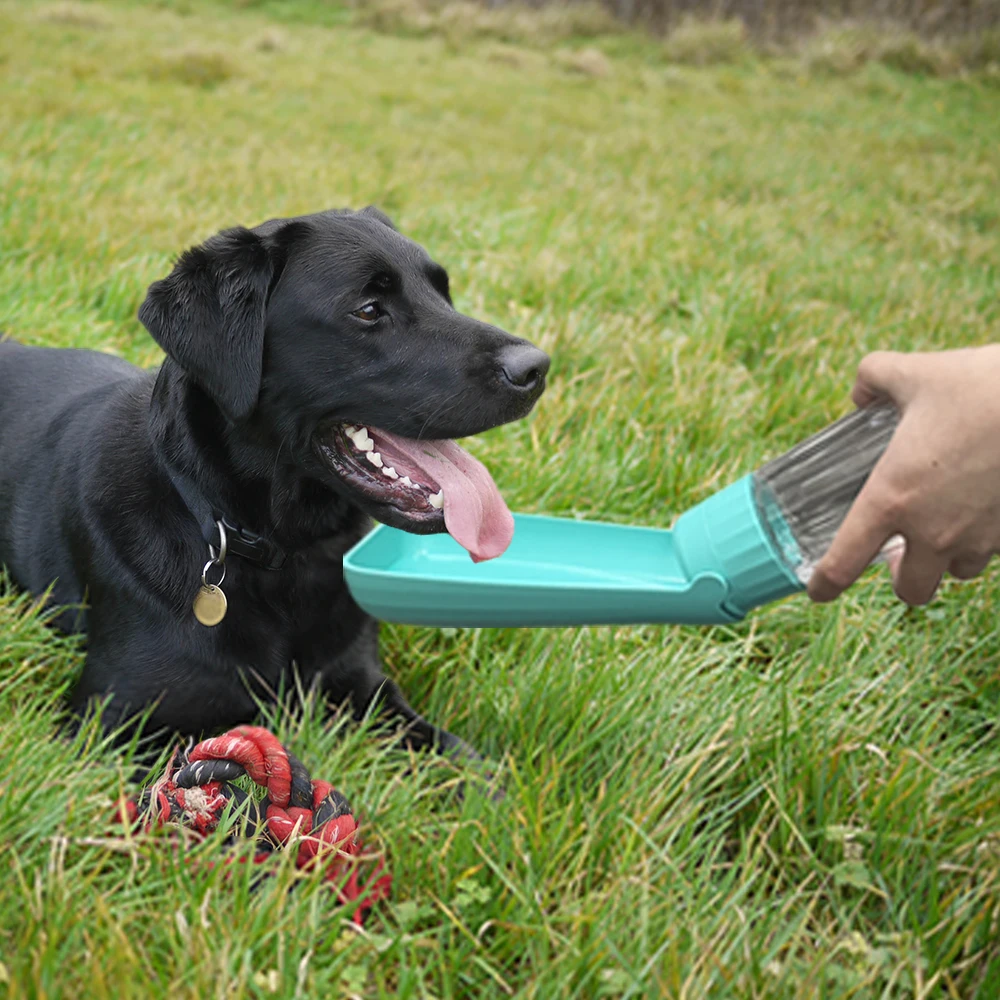 Bouteille d’eau portable pour chien – Gourde anti-fuite pour promenade – Image 6