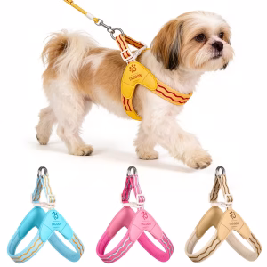 Harnais d'été pour chiens et chats