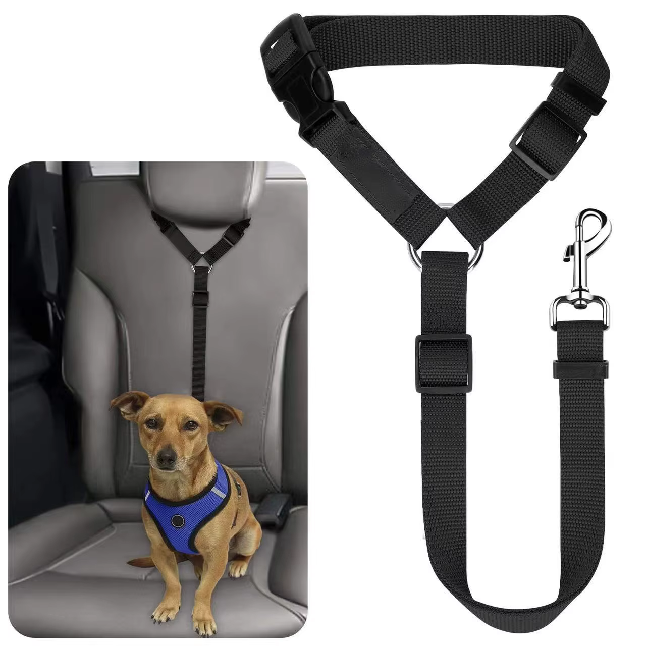 Harnais pour animal de compagnie couleur unie