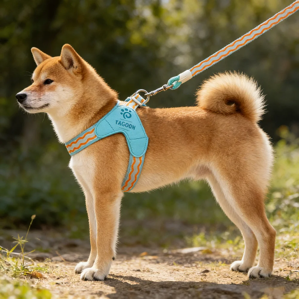 accessoire de sécurité pour animaux