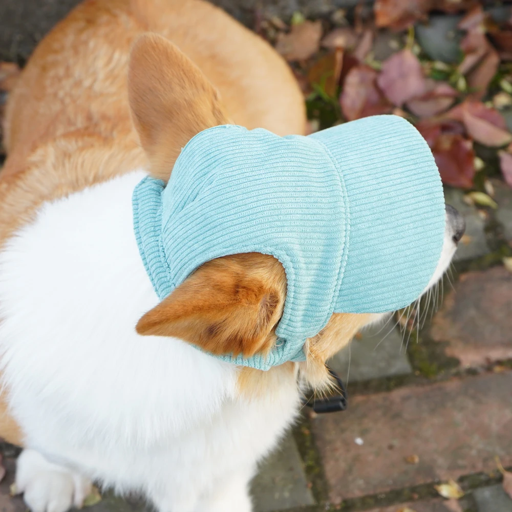 casquette pour chien moyenne taille