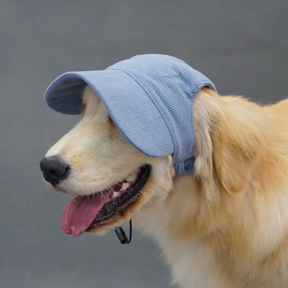 chapeau pour chien petite taille
