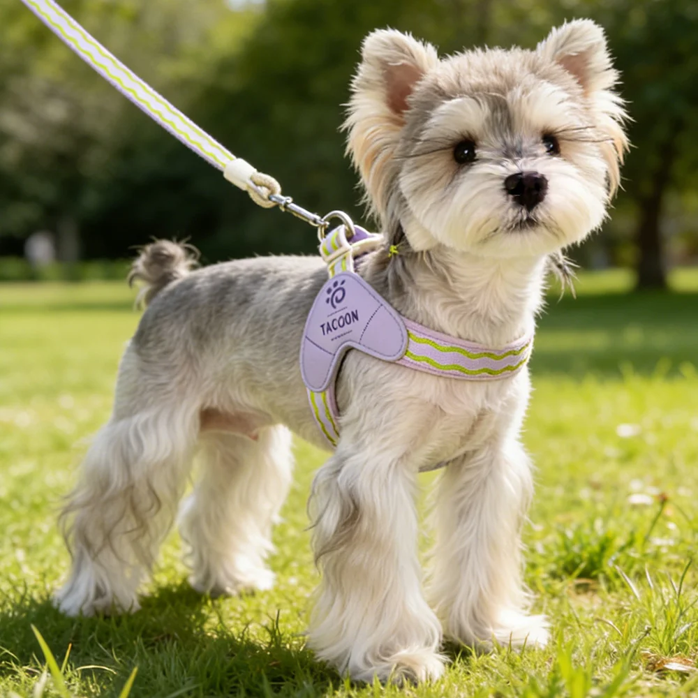 harnais facile à nettoyer pour chiens et chats