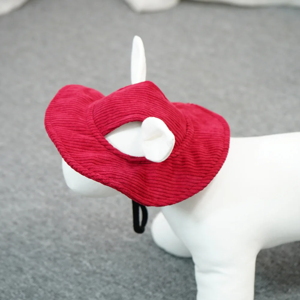 accessoire pratique pour chien
