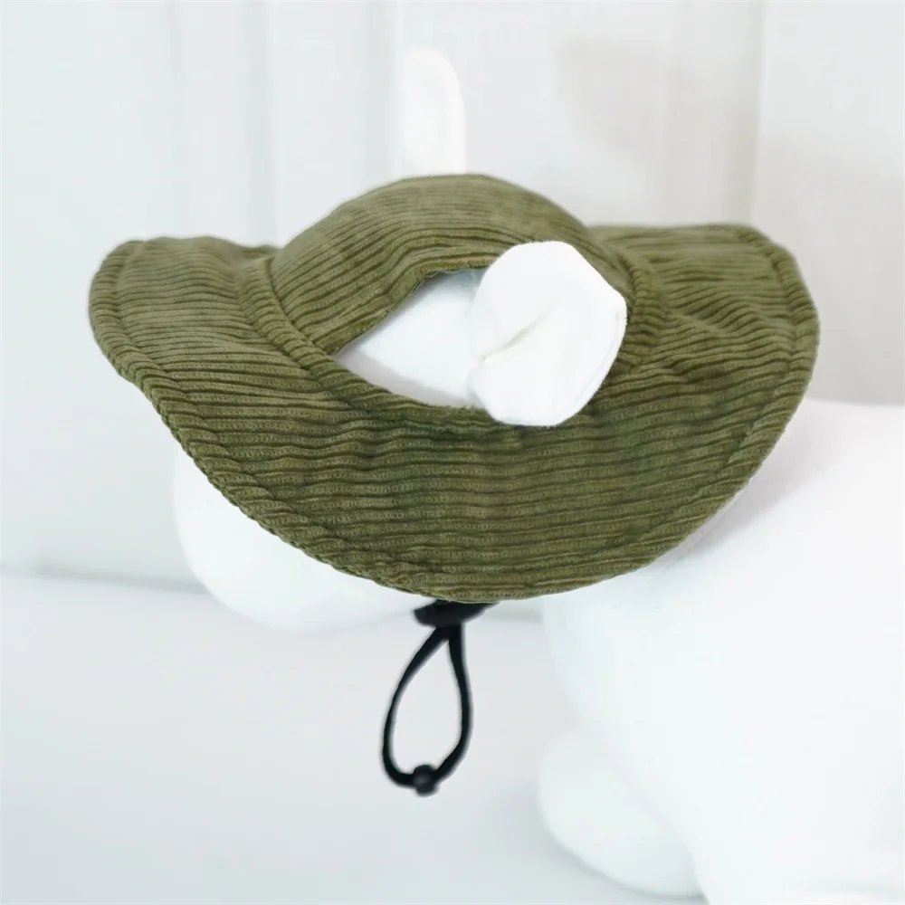 chapeau tendance pour chien