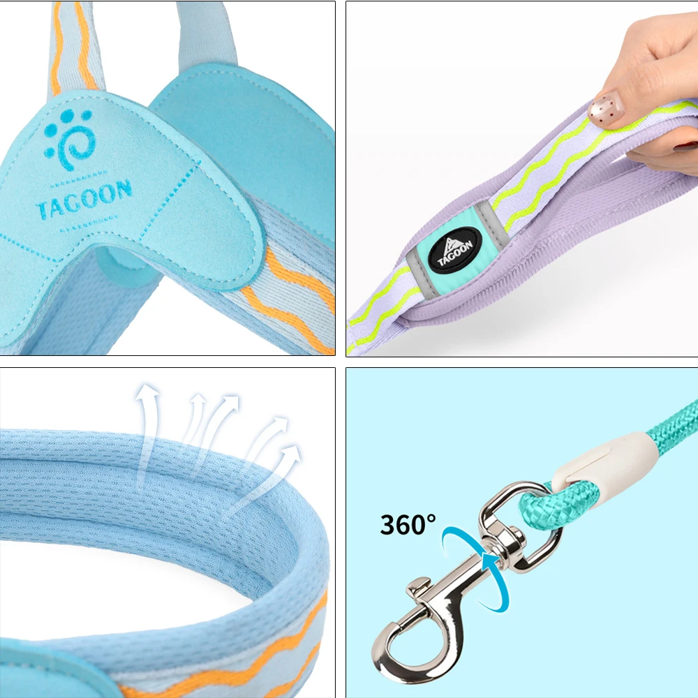 accessoire pour promenade canine