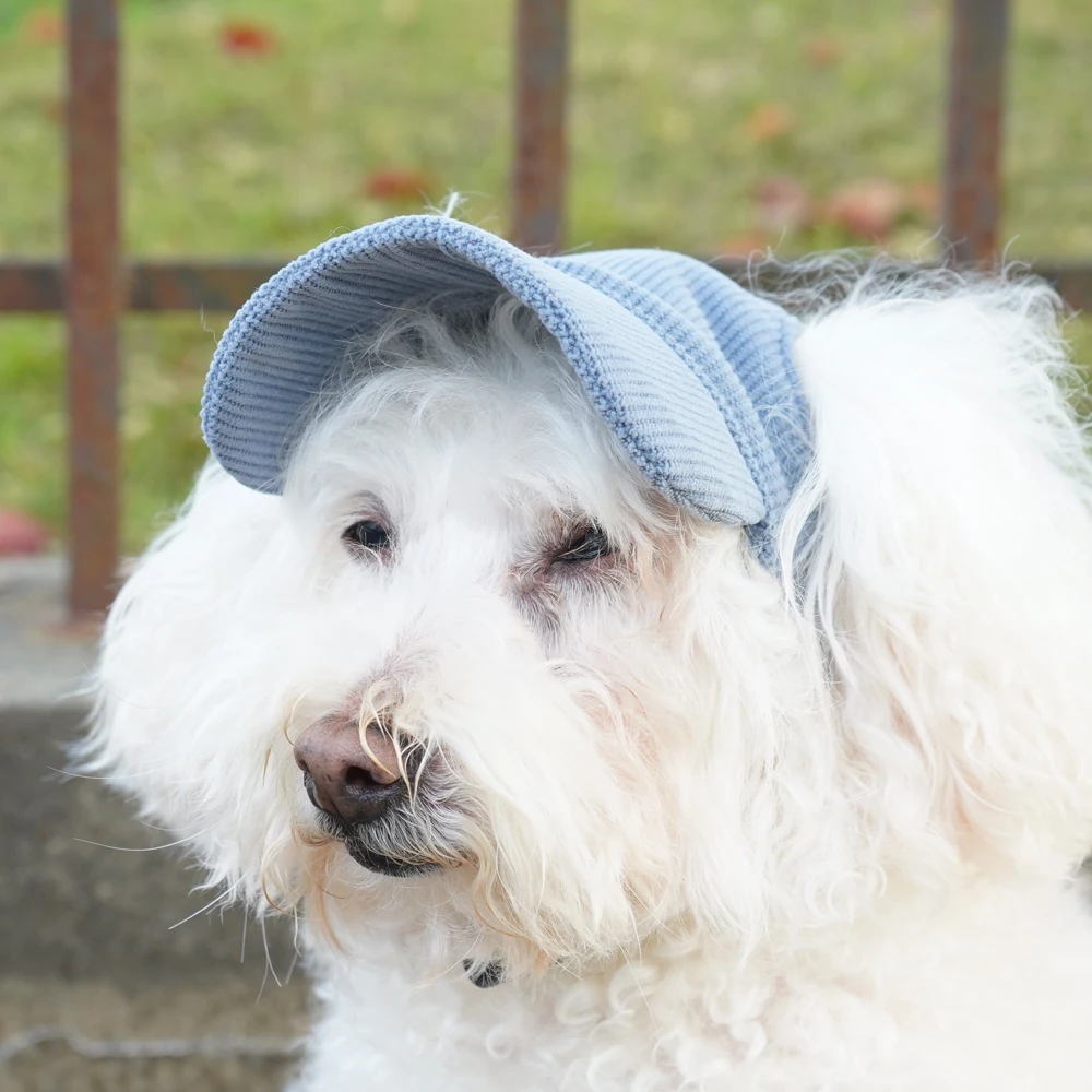 accessoire de mode animal