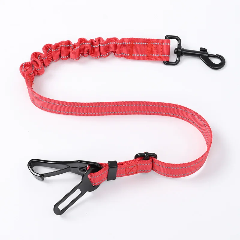 Laisse chien robuste et pratique