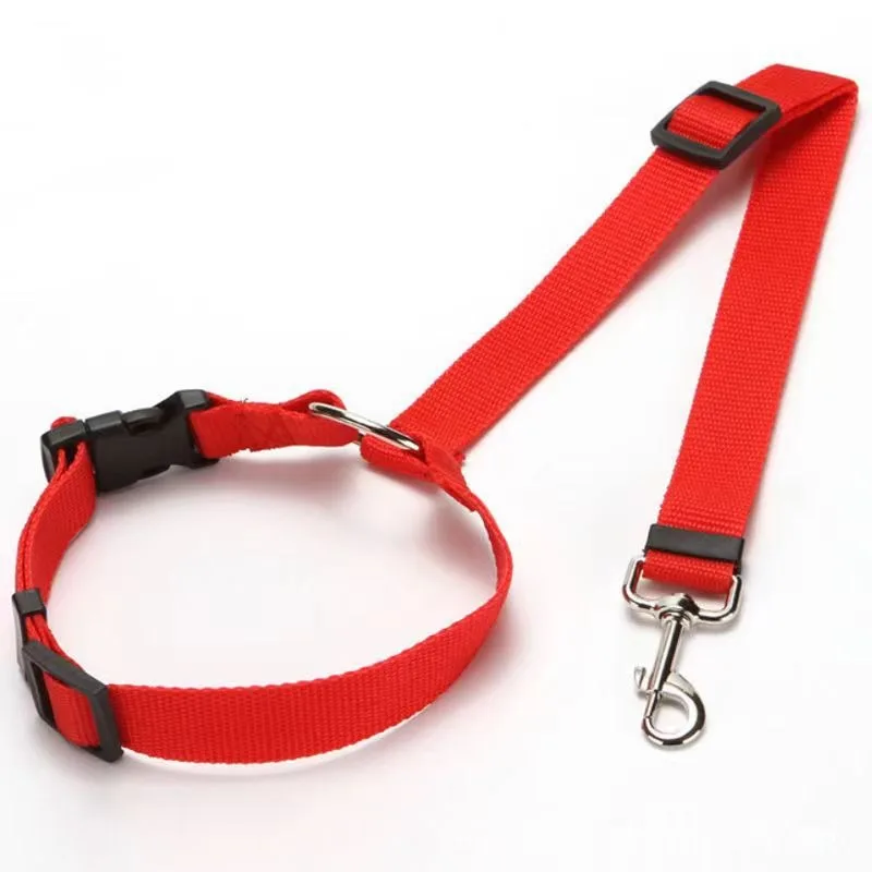 harnais pour animal de compagnie robuste
