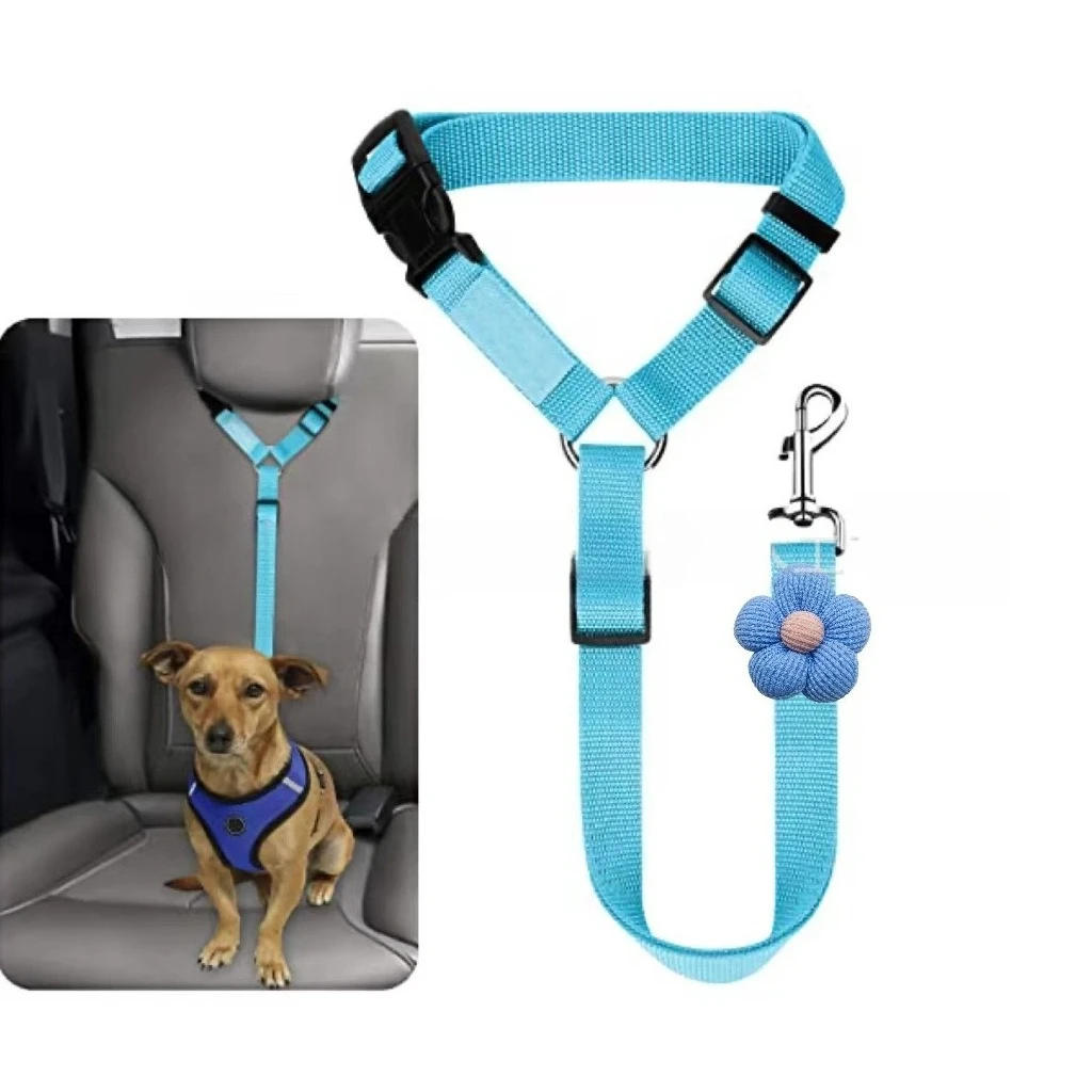 harnais de promenade stylé pour chien et chat