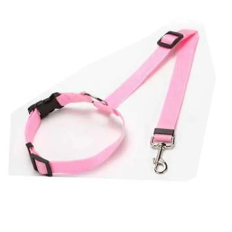 harnais pour animal de compagnie tendance
