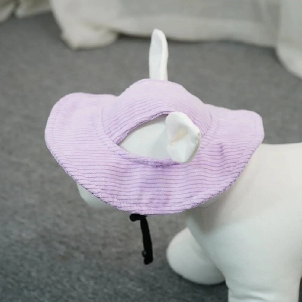 casquette résistante pour chien