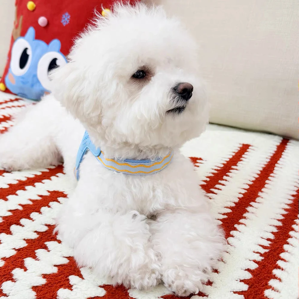 harnais respirant pour chiens et chats